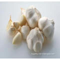 Garlic Extract 50% (HY1214)